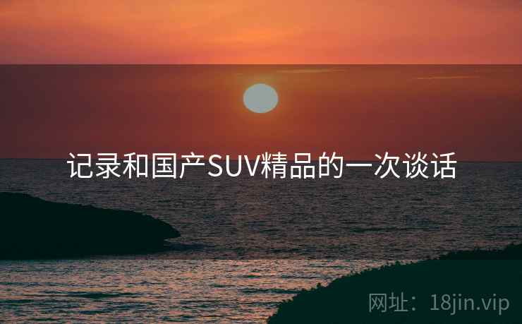 记录和国产SUV精品的一次谈话