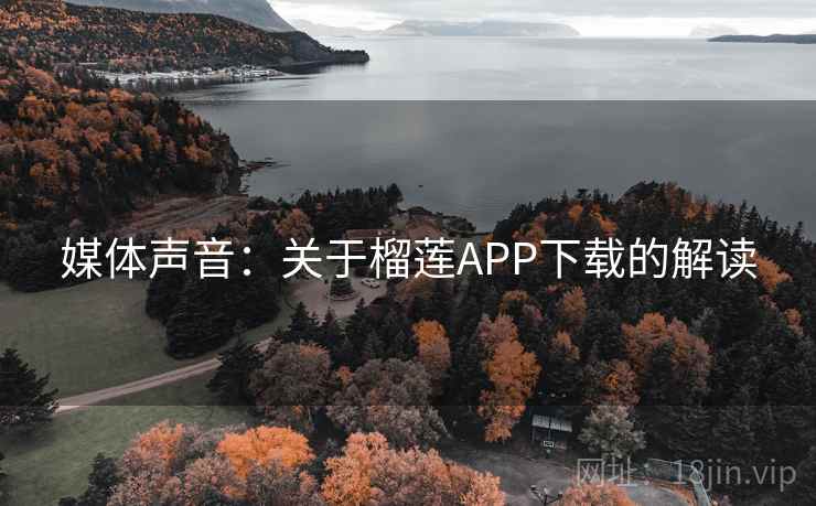 媒体声音：关于榴莲APP下载的解读